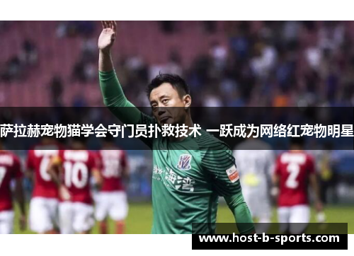 萨拉赫宠物猫学会守门员扑救技术 一跃成为网络红宠物明星 萨拉赫宠物猫学会守门员扑救技术 一跃成为网络红宠物明星